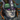 Champion Terminus Icon.png