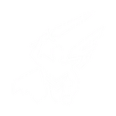 GUI Game Modes Icon.png