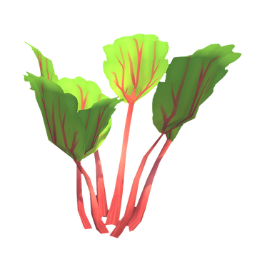 Rhubarb - Wikipedia