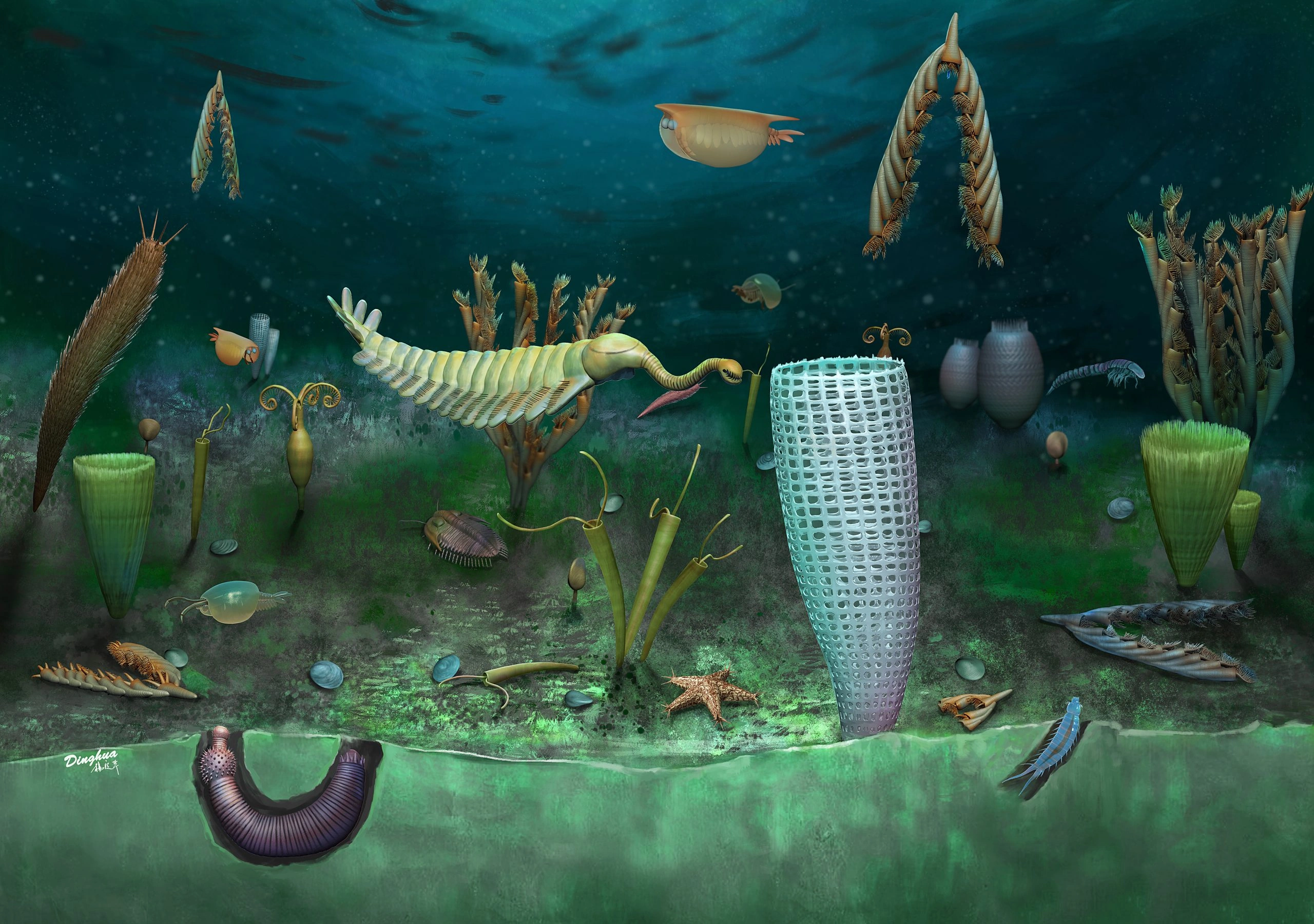 Ordovician | Paleontology Wiki | Fandom, image size:2560x1800
