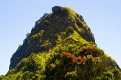 Life colonizing a rocky peak