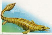 Euoplocephalus