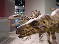 Herrerasaurus
