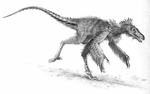 Sinornithosaurus