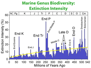 Extinction Intensity