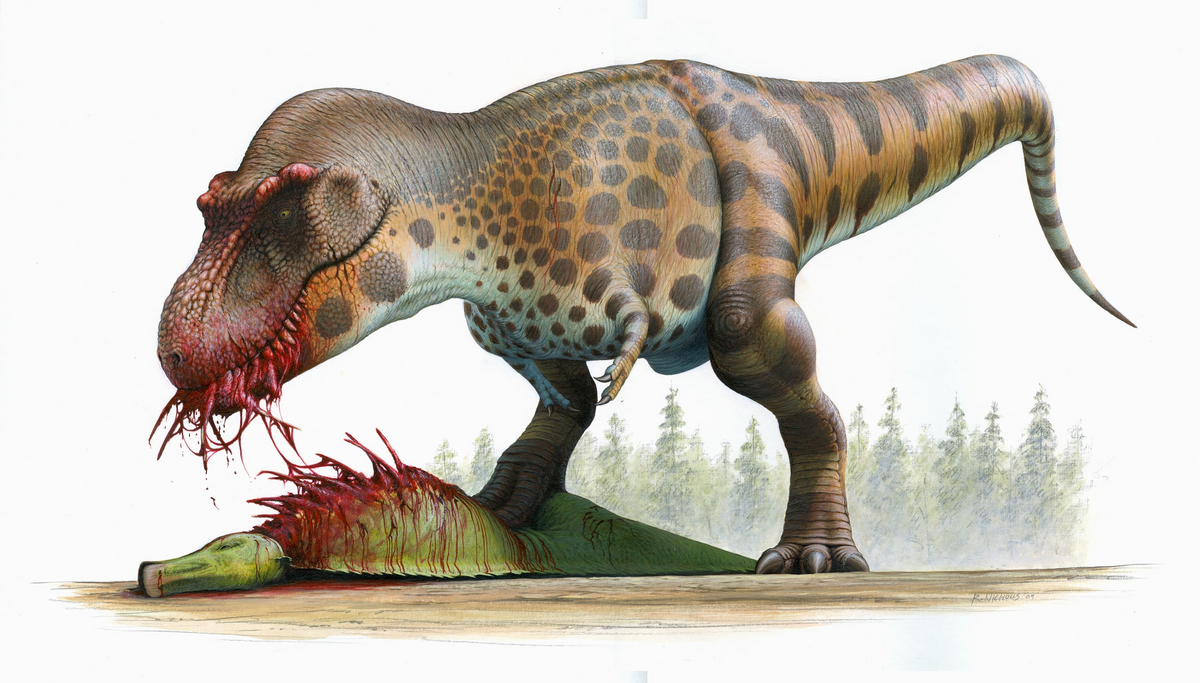 Researchers Identify Dinosaur Species 5 Times Larger Than Tyrannosaurus