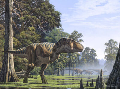 T. rex may have had 2 equally terrifying sibling species, new research  suggests