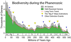 Phanerozoic Biodiversity