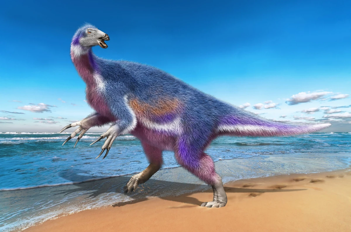 Paralitherizinosaurus | Paleontology Wiki | Fandom