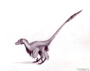 Velociraptor dinoguy2