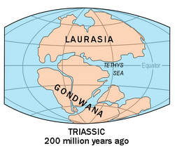 Laurasia-Gondwana