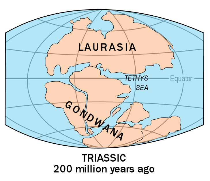 Tethys Ocean - Wikipedia