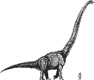 Sauropodeidon