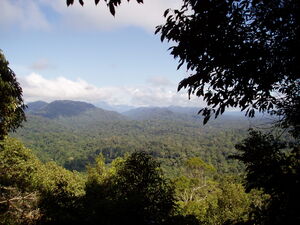 View from Bukit Terisek