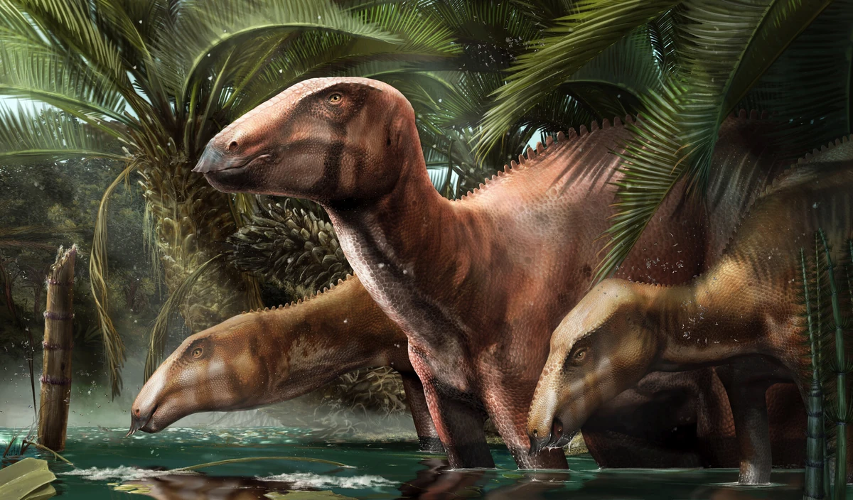 tethyshadros-paleopedia-wiki-fandom
