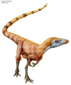 Sinosauropteryx04