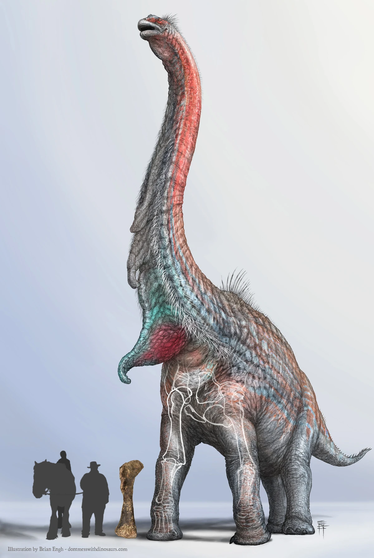 brachiosaurus-paleopedia-wiki-fandom