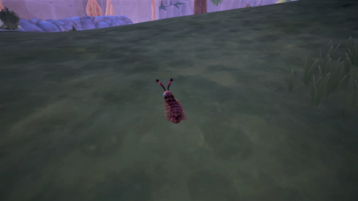 Hairy Millipede Palia Wiki Fandom