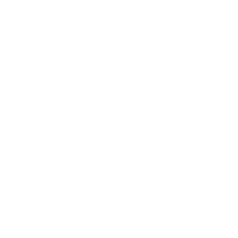 Rayne Syndicate icon