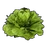 Lettuce icon