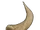 Horn