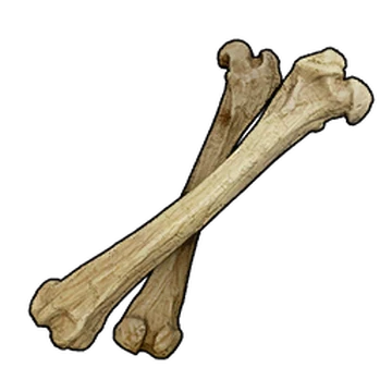 Bone | Palworld Wiki | Fandom