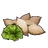 Lettuce Seeds icon