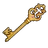 Gold Key icon