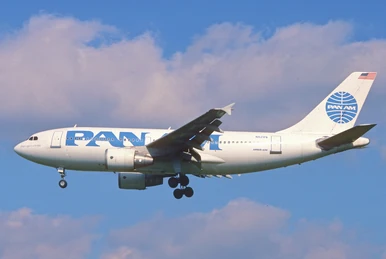 航空機・ヘリコプター Pan Ame A310 Amazon.co.jp: AgustaWestland AW139 ヘリコプターミリタリー