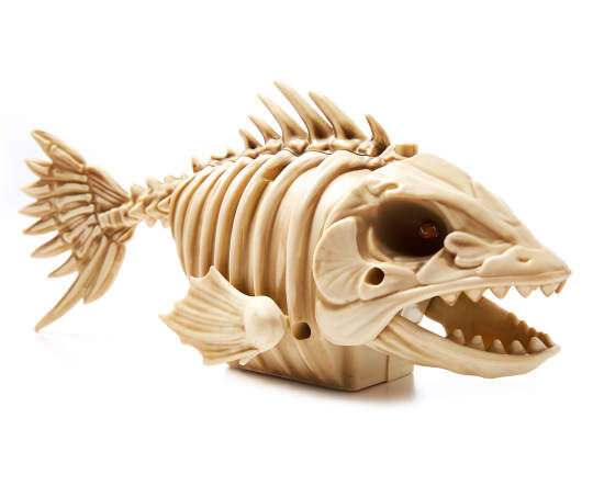 Skeleton Fish, Fish Skeleton, Skeleton Fish Halloween, Halloween