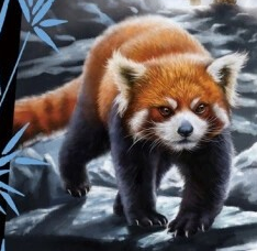 Kategorie:Kletterweits | Panda Kingdom Wiki | Fandom