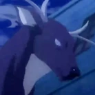 FawnP