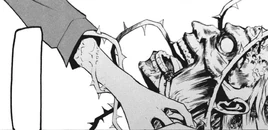 CS Black Roses image Ch 3