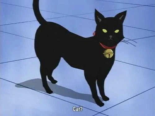 Cheshire | Jun Mochizuki Wiki | Fandom