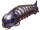 Moth Larva