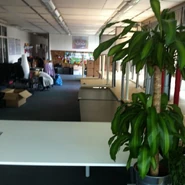 Last photo taken in Torstraße 35 (April 29, 2011) Taken by Moritz Hohl