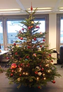 Christmas Tree in the Torstr. 35 office (December 9, 2010)