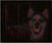 Cuento de terror smile dog-1-.jpg