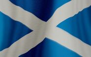 Rose's Flag of Scotland