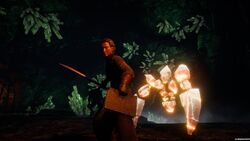 Human Summoner with Arcamental.jpg
