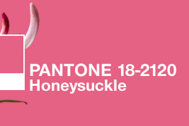 https://static.wikia.nocookie.net/pantone/images/1/17/Coty2011_header.png/revision/latest/smart/width/386/height/259?cb=20110505234156