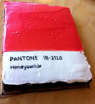 Pantone Cake inspired by the color of the year, Honeysuckle. Baked by Patti Quill