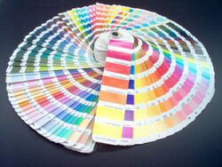 PANTONE COLOR FAN DECK