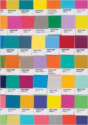 Pantone-chips-journal