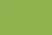 Color-of-the-Year-Pantone-Greenery.jpg