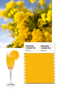 2009 mimosa.gif