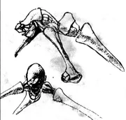 Pure-Type Creature Remnants