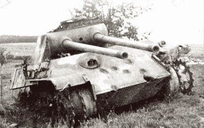 -fake-Double Gunned Panther.jpg