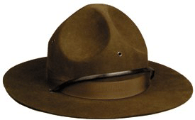 Campaign-hats.gif