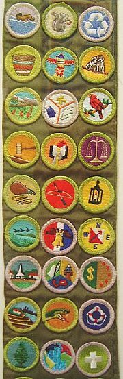 Scouting/BSA/Fly Fishing Merit Badge - Wikibooks, open books for an open  world